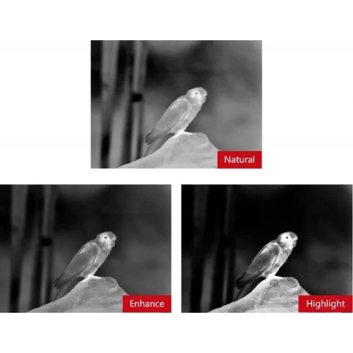 Тепловизионный бинокуляр Guide TN430 400х300, ø35мм, лазерный дальномер в Томске