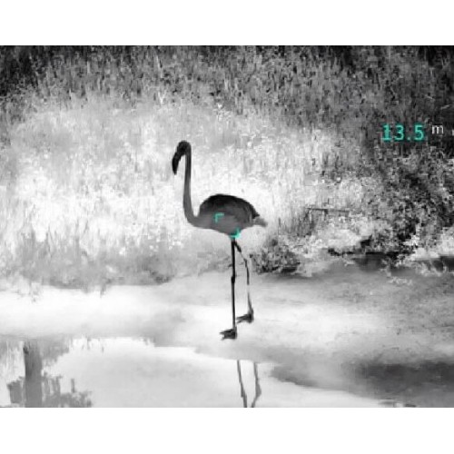 Тепловизионный бинокуляр Guide TN430 400х300, ø35мм, лазерный дальномер в Томске