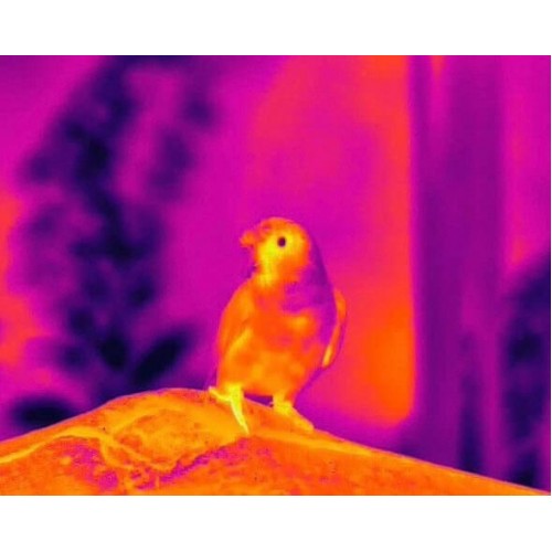 Тепловизионный бинокуляр Guide TN430 400х300, ø35мм, лазерный дальномер в Томске